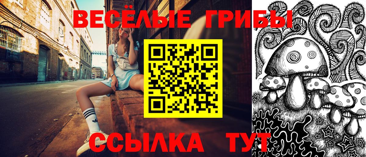 Псилоцибиновые грибы GOLDEN TEACHER  купить наркотики цена  Ливны  Вход с VPN 